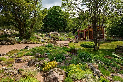 Haut Chitelet High-Altitude Garden