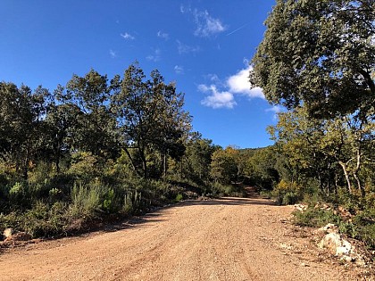 A la découverte de la garrigue