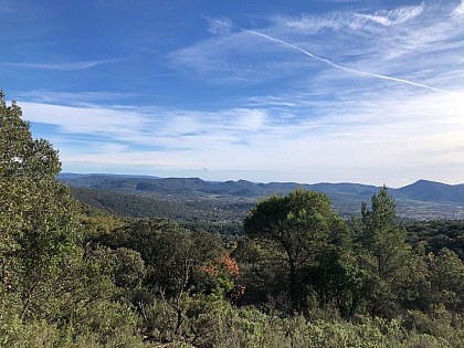 La plaine de Garéoult et de l'Issole