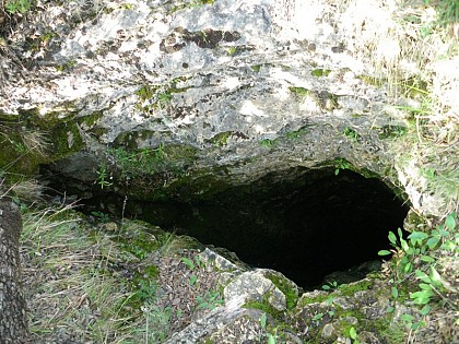 Siou Blanc et ses avens