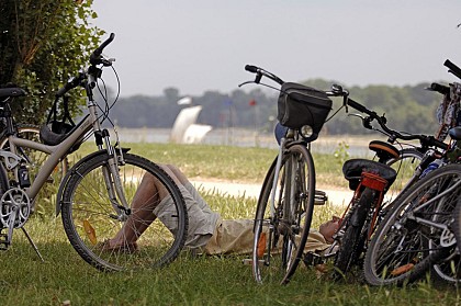 Location de vélos Anjouveloc