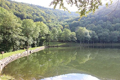 Pêche au lac du Lachtelweiher