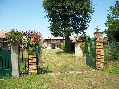 Cugnet Marie Bernadette - Hirondelle