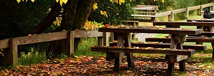 Grand Massif Express picnic area