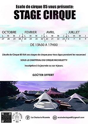 Stages vacances Cirque