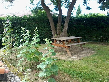 Aire de Pique-nique du Lavoir