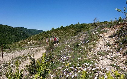 Guilhaumard site remarquable!