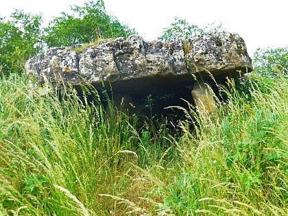 Dolmen de Buzareingues