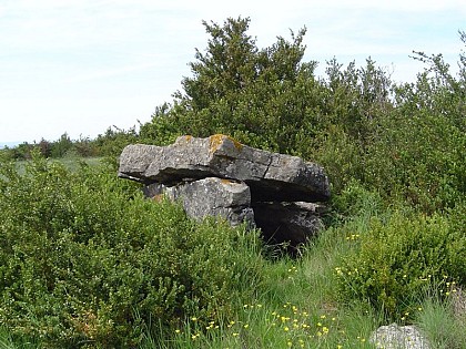 Mascourbe 2 dolmen