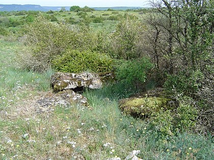 Mascourbe 3 dolmen