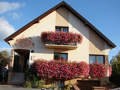 Chambres d'hôtes - Hélène BLEGER