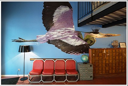 Vertigo Hostel Marseille