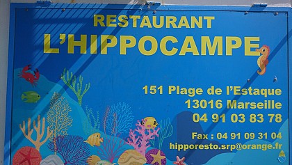 L'Hippocampe