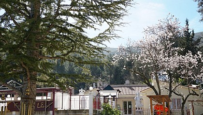 A.B.V.F. Pagode Truc Lâm