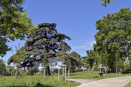 Parc de la Pelouque