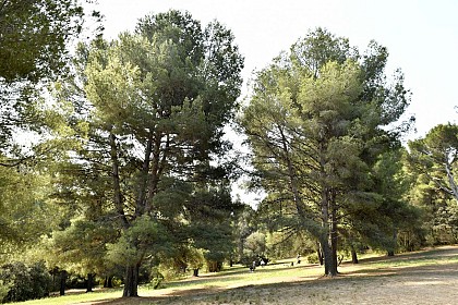 Parc de la Colline Saint-Joseph