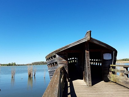 Observatoire à oiseaux de l'étang de la Mutche