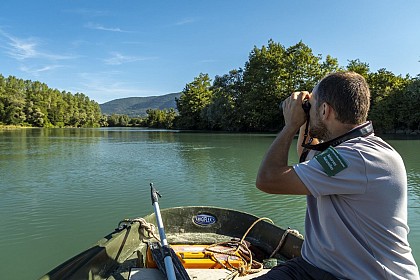 Sortie nature en canoë kayak sur le Rhône