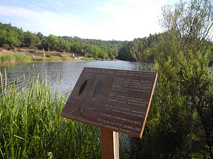 Sentier botanique du lac du Rioutard