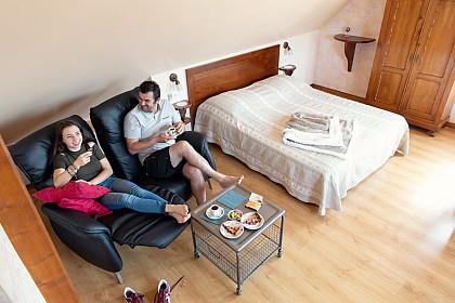 Gîte Rose des Vignes - Vigne