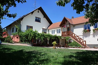 Gîte Rose des Vignes - Jardin