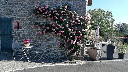 CHAMBRE D'HOTES BROCHARD ALAIN ET SYLVIE N°2