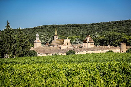 Chartreuse de Valbonne