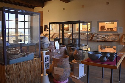 Musée Georges Borias