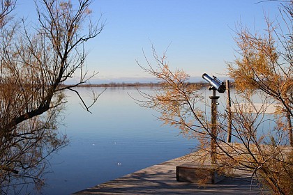 Maison du Grand Site de France Camargue Gardoise