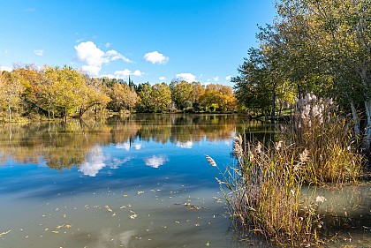 Domaine de la Bastide