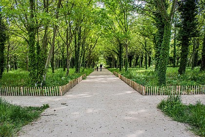 Le bois des noyers