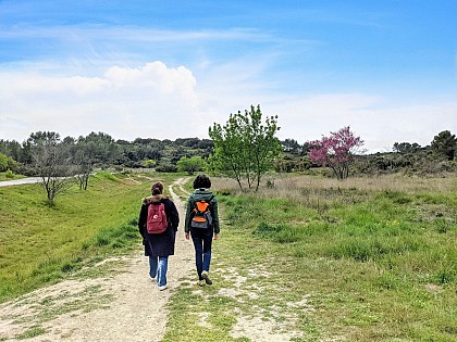 Les Terres de Rouvière