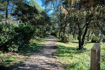 Parc & Arboretum de Vacquerolles