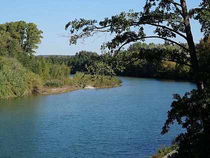 Baignade à Remoulins