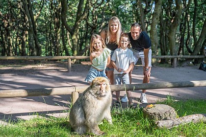 La Montagne des Singes