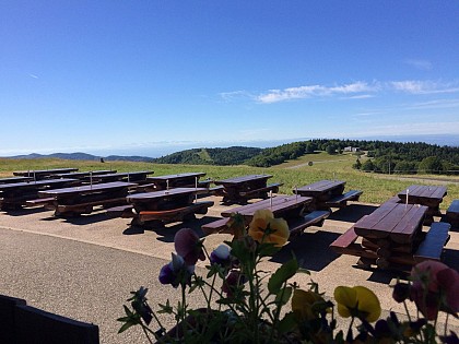 Restaurant inn Ballon d'Alsace