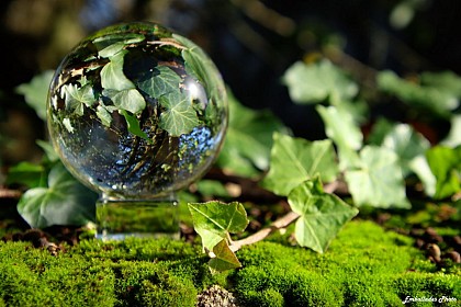 Balade photographique "Spécial lensball" à Liré