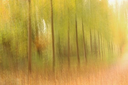 Balade photographique "Spécial lensball" dans le parc de Beaupreau