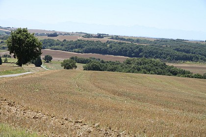 Point de vue Remarquable de Barran
