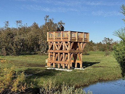 Tour d’observation