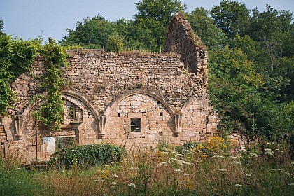 Vestiges du palais abbatial de l'abbaye de Cherlieu
