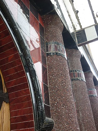 Sur les traces de la marbrite