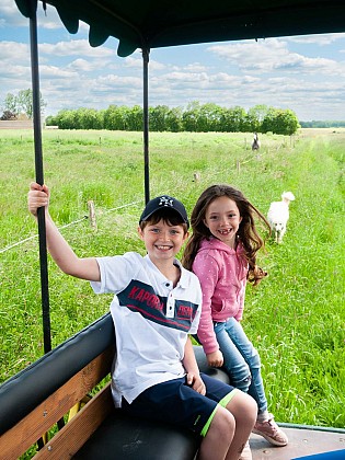 Visite de la ferme "les Roussets" en calèche