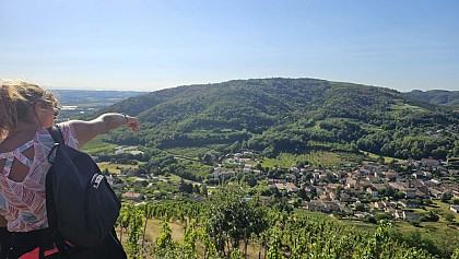 Village viticole de Saint-Désirat