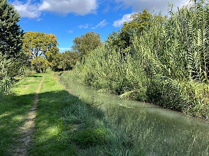 Le canal de Carpentras