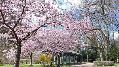 Parc Saint Léger