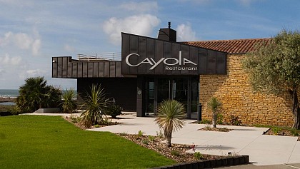 Cayola