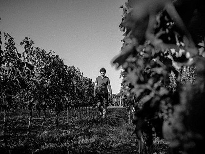 Château Haut-Grelot