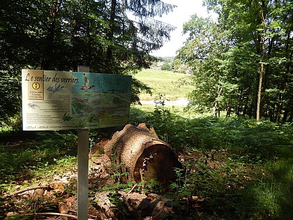Du foin pour emballer la marchandise et les étangs Lalique