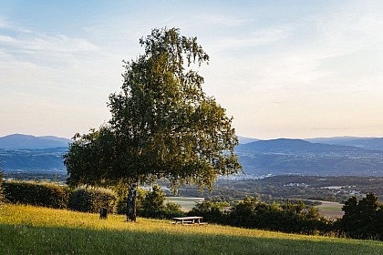 Madone et point de vue